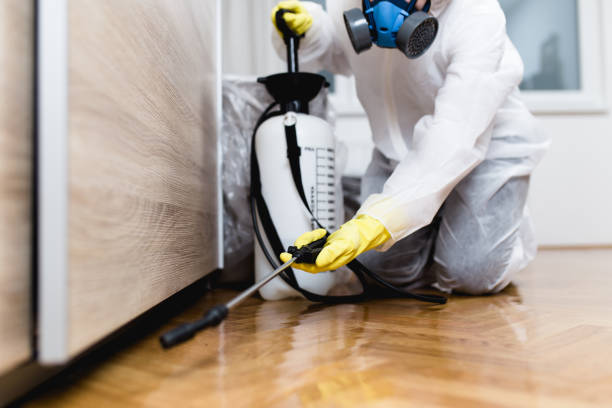 Best Ant Control Services  in Amador Pines, CA