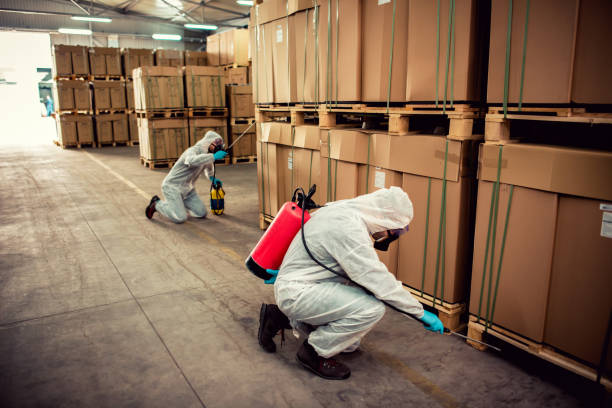 Best Residential Pest Control  in Amador Pines, CA