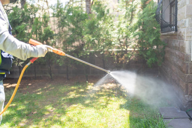 Best Spider Control Near Me  in Amador Pines, CA