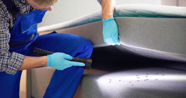 Best Local Pest Control Services  in Amador Pines, CA
