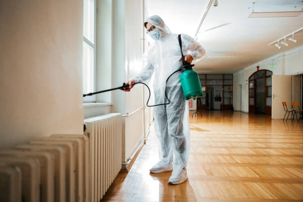 Best Mosquito Control Services  in Amador Pines, CA